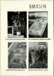 Karta cmentarza, skan nr 10