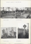 Karta cmentarza, skan nr 6
