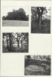Karta cmentarza, skan nr 5