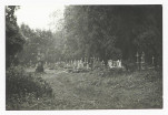 Karta cmentarza, skan nr 9