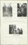 Karta cmentarza, skan nr 8