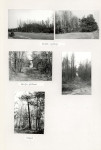 Karta cmentarza, skan nr 5