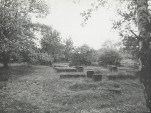 Karta cmentarza, skan nr 5