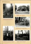 Karta cmentarza, skan nr 5