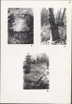 Karta cmentarza, skan nr 8