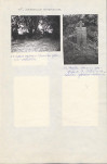 Karta cmentarza, skan nr 7
