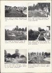 Karta cmentarza, skan nr 6