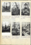 Karta cmentarza, skan nr 6