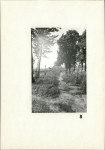 Karta cmentarza, skan nr 9
