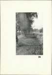 Karta cmentarza, skan nr 15