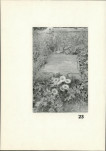 Karta cmentarza, skan nr 20