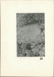 Karta cmentarza, skan nr 22