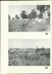 Karta cmentarza, skan nr 11