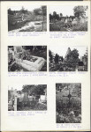 Karta cmentarza, skan nr 6