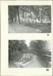Karta cmentarza, skan nr 9