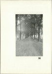 Karta cmentarza, skan nr 12