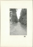Karta cmentarza, skan nr 13