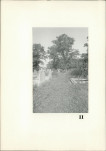 Karta cmentarza, skan nr 10