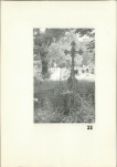 Karta cmentarza, skan nr 17