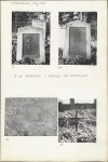 Karta cmentarza, skan nr 6