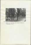 Karta cmentarza, skan nr 7