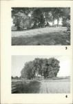 Karta cmentarza, skan nr 6