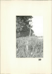 Karta cmentarza, skan nr 11