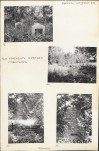 Karta cmentarza, skan nr 6