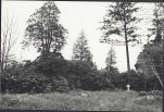 Karta cmentarza, skan nr 5