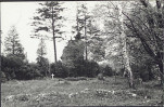 Karta cmentarza, skan nr 13