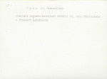 KC - Karta cmentarza, skan nr 9