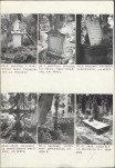 KC - Karta cmentarza, skan nr 6