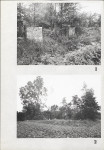 Karta cmentarza, skan nr 5