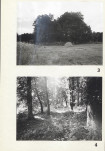Karta cmentarza, skan nr 6