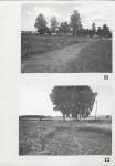 Karta cmentarza, skan nr 10