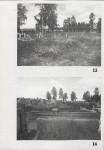 Karta cmentarza, skan nr 11