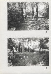 KC - Karta cmentarza, skan nr 6