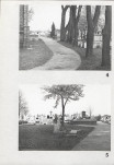 Karta cmentarza, skan nr 7