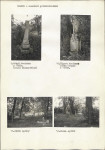 Karta cmentarza, skan nr 7