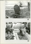 Karta cmentarza, skan nr 11