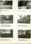 Karta cmentarza, skan nr 7