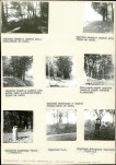 Karta cmentarza, skan nr 8