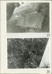 Karta cmentarza, skan nr 17
