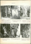 Karta cmentarza, skan nr 7