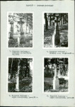 Karta cmentarza, skan nr 6