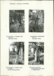 Karta cmentarza, skan nr 8