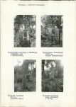 Karta cmentarza, skan nr 19