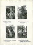 Karta cmentarza, skan nr 21