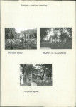 Karta cmentarza, skan nr 29