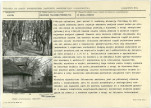 Karta biała, skan nr 11